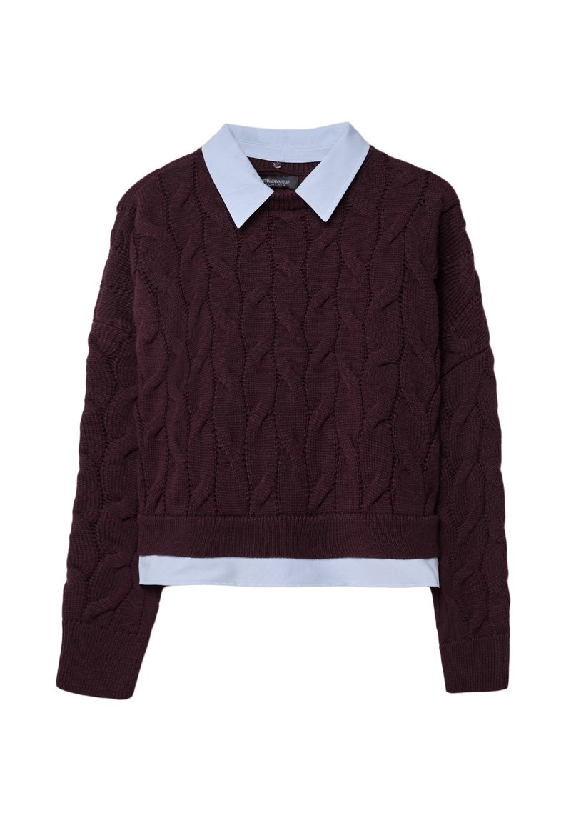 Maglione bordeaux a trecce con una camicia col colore azzurro chiaro indossata sotto. Caratterizzato da polsini e orlo a coste.