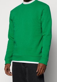 Groene pullover sweatshirt met een ronde hals, lange mouwen en geribbelde manchetten; gemaakt van een zachte, gestructureerde stof. Witte gelaagde shirt eronder.