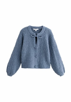 Blå stickad cardigan med ett strukturerat mönster, rund halsringning, knappstängning framtill och ett rosett i halsen. Långa, puffiga ärmar.
