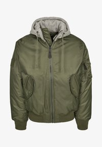 Neselectat, olive/grey