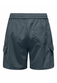 Only & Sons Shorts - turbulence