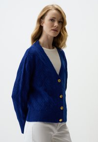 Cardigan blu lavorato a maglia con motivo a rombi, scollatura a V profonda e cinque bottoni dorati. Orlo e maniche a coste, abbinato a una parte superiore bianca.