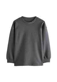 Grauer Langarm-Sweatshirt aus Baumwollmischung. Mit geripptem Rundhalsausschnitt und Bündchen. Weicher, glatter Stoff mit lockerer Passform.