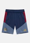 FC BAYERN 26/27 TRAINING UNISEX - Ρούχα για κλαμπ - night indigo/preloved ink