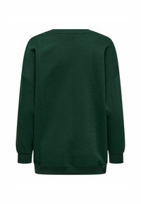 Sudadera verde con cuello redondo, mangas largas y puños acanalados. El tejido parece suave, con una textura lisa y sin patrones ni acentos visibles.