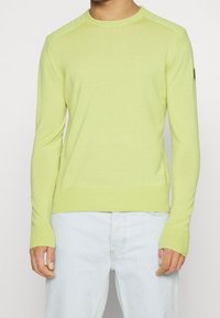 Pull en maille vert clair avec un col rond, des poignets et un ourlet côtelés. Présente des panneaux d'épaule texturés et un logo subtil sur la manche.