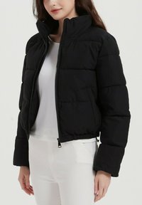 Veste en duvet noire avec un col haut, fermeture éclair à l'avant et ourlet élastique. Présente des coutures horizontales et des poches latérales, fabriquée en matériau léger.