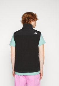 Juodas fliso liemenė su aukštu apykakle, ant viršutinės nugaros dalies yra "The North Face" logotipas. Dėvima ant mėlynos spalvos marškinėlių. Matomos rožinės šortai.