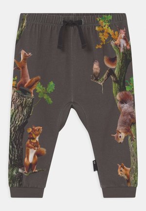 Ciemnoszare spodnie dziecięce z nadrukiem wiewiórek wspinających się na drzewa oraz ptaka siedzącego na gałęzi.