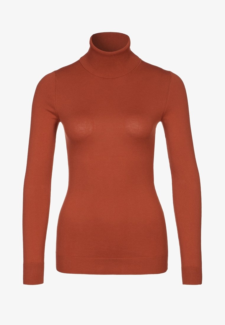 Pull à col roulé manches longues couleur rouille, silhouette ajustée avec col, poignets et ourlet côtelés.