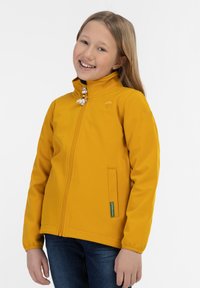 Aukso spalvos zip-up striukė, pagaminta iš lygaus audinio, su aukštu apykakle ir šoninėmis kišenėmis. Išsiuvinėtas logo ir dekoratyvūs užtrauktuko detalių elementai.