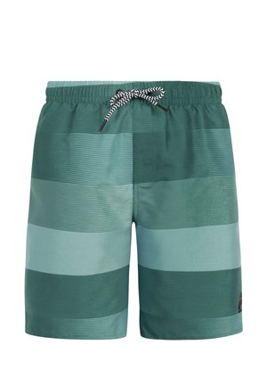 Groene en turquoise gestreepte zwembroek met elastische tailleband en zwart-wit zigzag koord aan de voorkant.