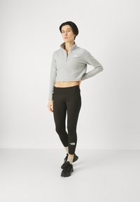 The North Face GLACIER CROPPED ¼ ZIP - Felpa in pile - light grey heather
