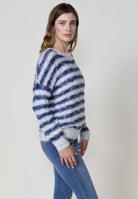 Maglione a righe in materiale morbido e peloso; presenta righe orizzontali blu e bianche, scollatura tonda e vestibilità leggermente ampia. Abbinato a jeans in denim.