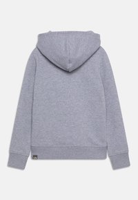 The North Face DREW PEAK HOODIE UNISEX - Jersey con capucha - light grey heather