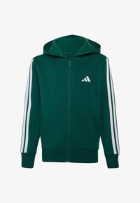 Non sélectionné, collegiate green white