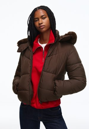 Bershka, PUFFY JACKET - Veste d'hiver - dark brown