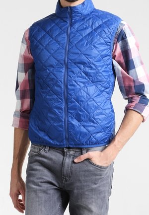 Mand iført blå quiltet vest uden ærmer over pastelfarvet ternet skjorte med op rullede ærmer og grå jeans, hånd i lommen.