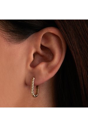 Boucles d'oreilles en métal doré de forme créole avec un design en corde tordue. Les boucles ont une texture polie et une taille petite et élégante, mises en valeur dans l'oreille.
