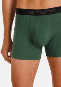 Groene katoenen boxershorts met een zwarte tailleband met het "camano" logo, gestructureerd ontwerp en een gladde textuur.