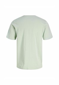 Lys mintgrøn bomulds t-shirt, kortærmet, rund hals, glat tekstur, enkel design, ingen grafik eller accenter, ensfarvet bagside.