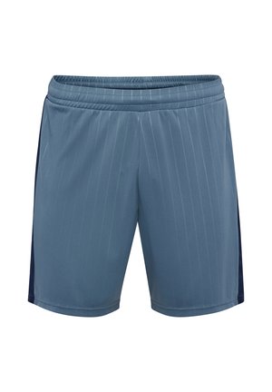 PULSE STRIPE BLOCKED - Träningsshorts - blue mirage dress blue