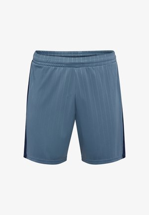 Blå atletiske shorts med lodrette striber, elastisk talje og marineblå sidepaneler. Fremstillet af letvægtigt, fugttransporterende stof.