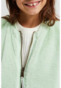 WE Fashion REVERSIBLE - Vinterjacka - green
