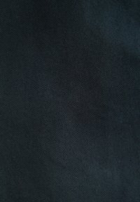 Next REGULAR FIT - UTILITY STYLE - Pantalon classique - navy