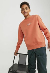 Jack & Jones Junior JORVESTERBRO CREW NECK NOOS - Ikdienas džemperis - ginger