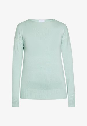 Lys grøn langærmet sweater med rund halsudskæring, ribbede manschetter og kant, lavet af et blødt strikkemateriale. Glat tekstur, afslappet pasform.