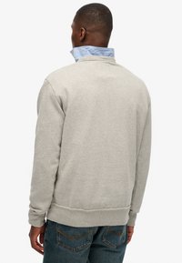 Lichtgrijze trui met hoge kraag, zachte textuur, geribbelde manchetten en zoom. Draagt een lichtblauw overhemd met kraag eronder, weergegeven van achteren.