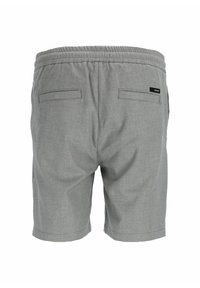 CHASIN' STONE.S ANZAR - Šortky - light grey