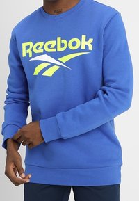 Reebok Classic Sweatshirt - light blue