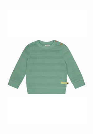 Hellgrüner Strickpullover mit horizontalen Streifen, rundem Hals, hölzernen Knopf-Akzenten an den Schultern sowie gerippten Bündchen und Saum.
