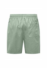 Only & Sons ONSTEL LIFE NOOS - Kratke hlače - iceberg green