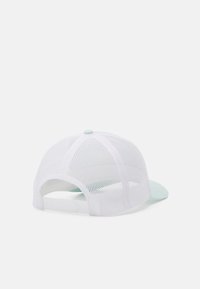 Columbia YOUTH SNAP BACK UNISEX - Boné - icy morn tree flag