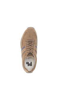 Sneaker in suede marrone con strisce blu e marrone scuro, punta tonda, design con allacciatura, parte superiore testurizzata e logo sulla soletta.