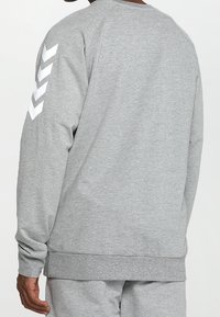 Felpa grigia con collo girocollo, maniche raglan e motivo a chevron bianco sul braccio sinistro. Realizzata in tessuto morbido con una vestibilità comoda.