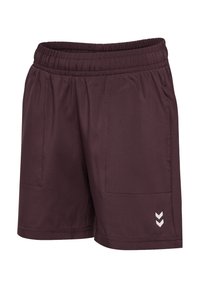 Bordeaux atletiske shorts med elastisk talje, to sidelommer og et hvidt chevron-logo ved kanten. Glat, letvægtsstof.