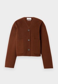 JENEVA - Cardigan - rusty brown