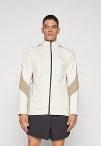 Puma EVOSTRIPE WARM FULL ZIP HOODIE - Felpa con zip - alpine snow