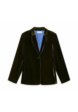 Dunkelgrüner Samtblazer mit langen Ärmeln, Reverskragen und einem einzelnen Knopfverschluss. Das Innenfutter ist hellblau.