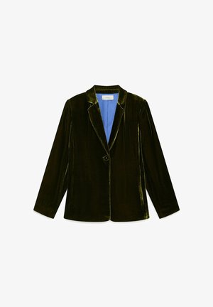 Dunkelgrüner Samtblazer mit langen Ärmeln, Reverskragen und einem einzelnen Knopfverschluss. Das Innenfutter ist hellblau.