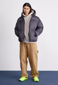 Alpha Industries CLOUD - Ziemas jaka - vintage grey