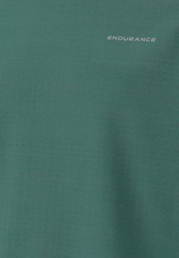 Endurance MIDLAYER AVAN - Langarmshirt - sea pine