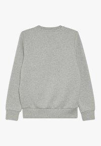 Grijze sweatshirt met lange mouwen, geribbelde manchetten en zoom, zachte textuur en een ronde hals. Achteraanzicht toont effen kleur zonder afbeeldingen.