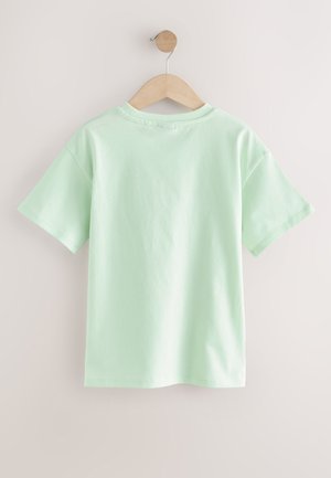 Mintgrøn kortærmet T-shirt lavet af blød bomuld med rund hals og almindelig pasform, vist på en træbøjle.