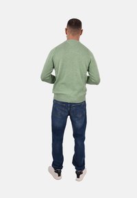 Maglione a maglia verde chiaro con dettagli a coste, indossato con jeans in denim blu e sneakers di colore chiaro. Vista da dietro.