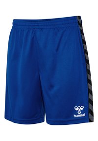 Blå sportshorts tillverkade av ett mjukt, lätt material med en svart rand som accent längs sidan och en vit logotyp framtill i nedre delen.